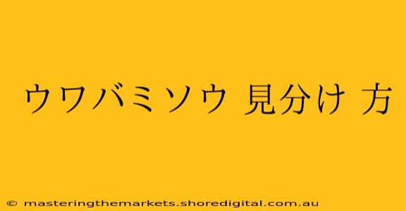 ウワバミソウ 見分け 方