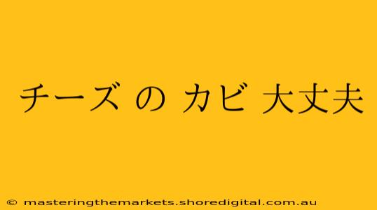 チーズ の カビ 大丈夫