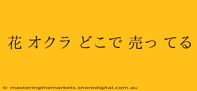 花 オクラ どこで 売っ てる