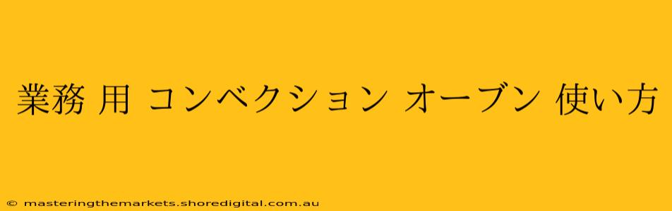 業務 用 コンベクション オーブン 使い方